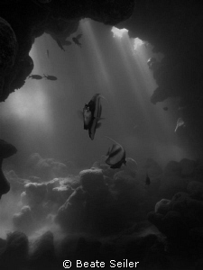 Inside the cave by Beate Seiler 